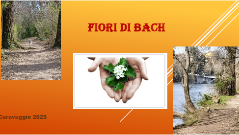 fiori di bach